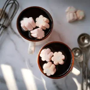 Homemade hot chocolate with marshmallows