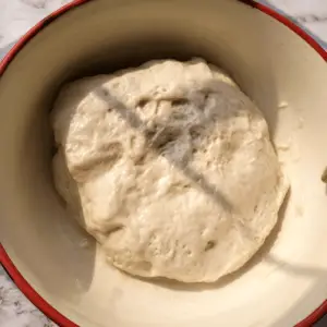 No knead overnight bread- Garlic Herb Focaccia