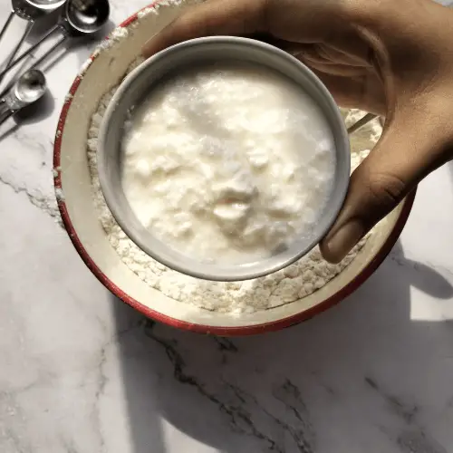 3 ingredient naan bread with yogurt (no yeast)