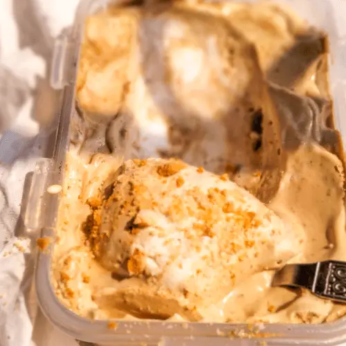 No churn coffee ice cream recipe without eggs