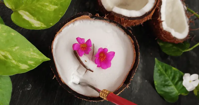 Chia Coconut Pudding with Coconut Milk