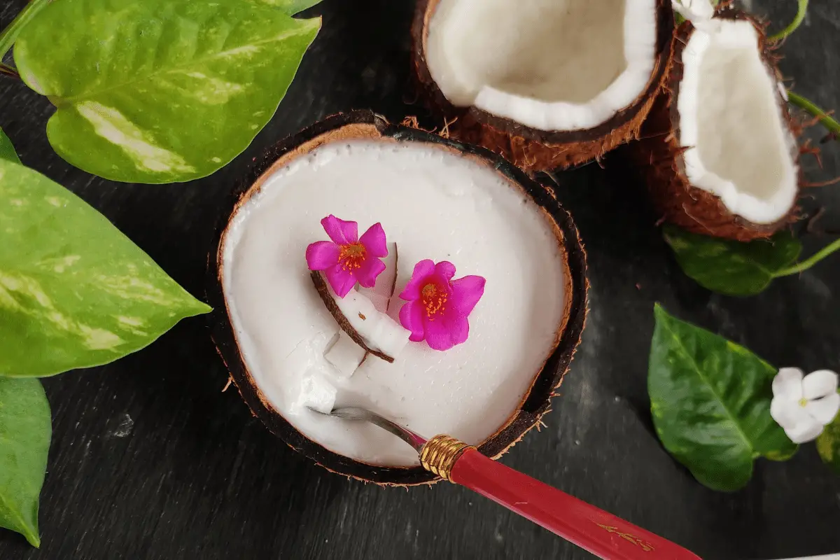 Chia Coconut Pudding with Coconut Milk