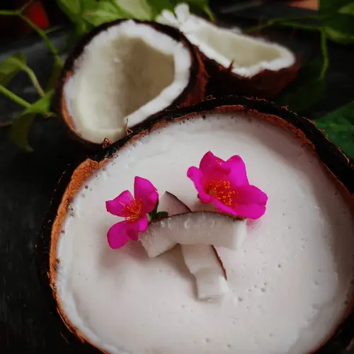 Chia Coconut Pudding with Coconut Milk