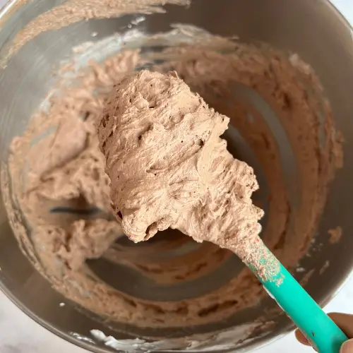 No churn chocolate icecream